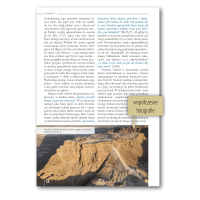 Vom Schatten zum Licht - Polnisch