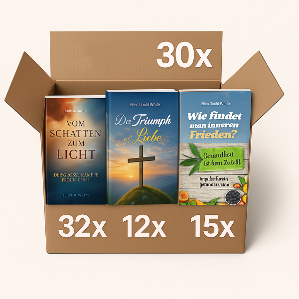 Bücherpaket 89 Stk (4 Titel): 32x VSZL | 12x DTdL | 30x WfiF | 15x GikZ