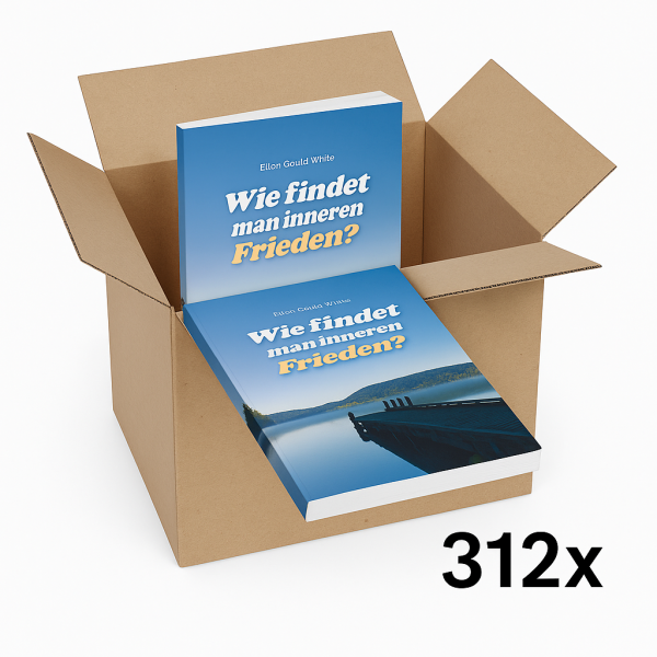 Wie findet man inneren Frieden? | 312er-Karton