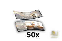 Der Sieg der Liebe I Flyer | 50×